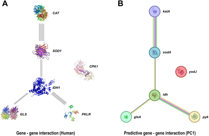 Figure 11