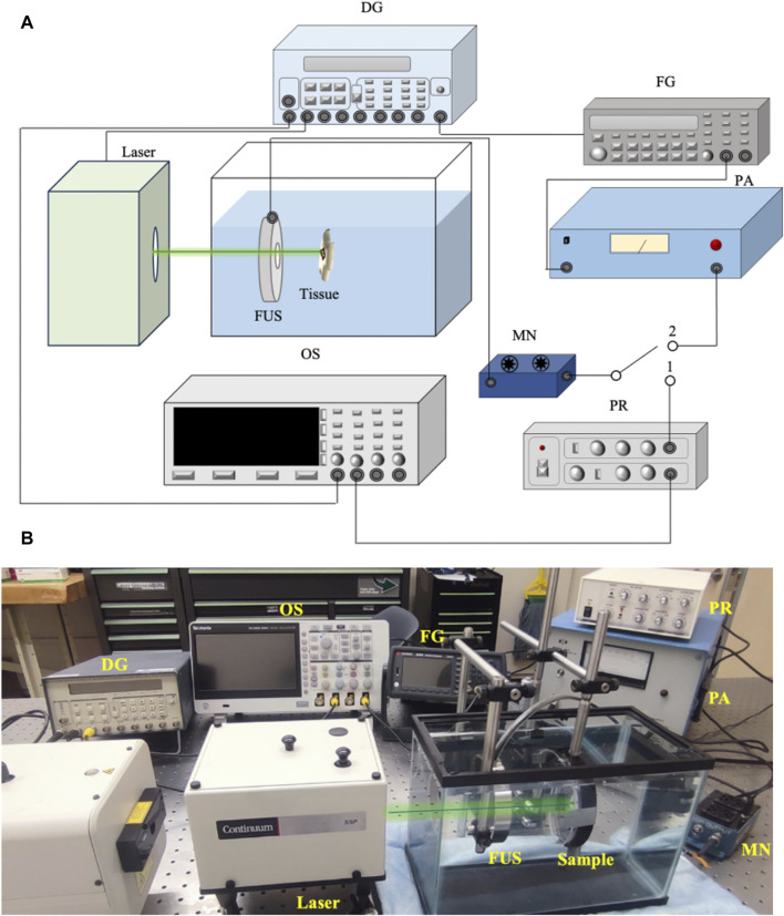 FIGURE 1