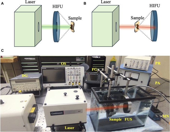 FIGURE 3