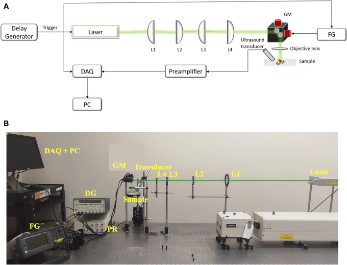 FIGURE 4