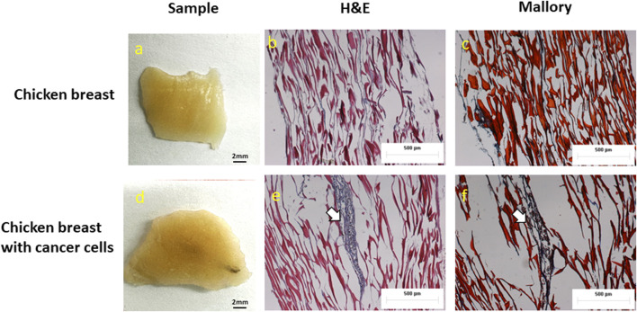 FIGURE 6