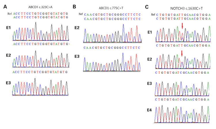 Figure 7