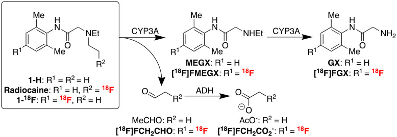 Scheme 3