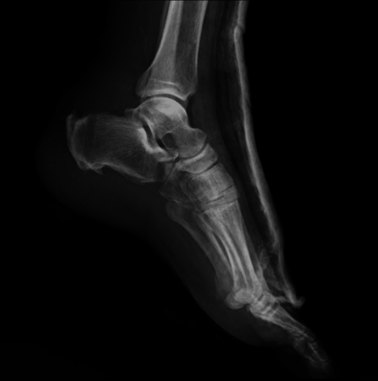 Figure 9
