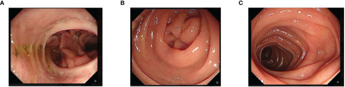 Figure 4