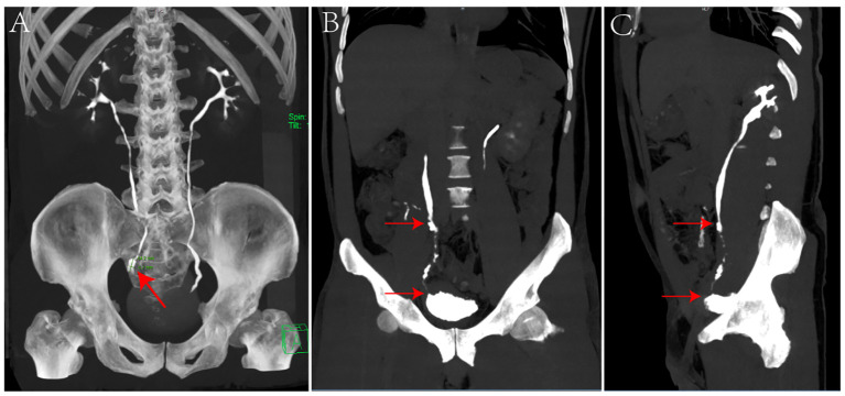 Figure 1