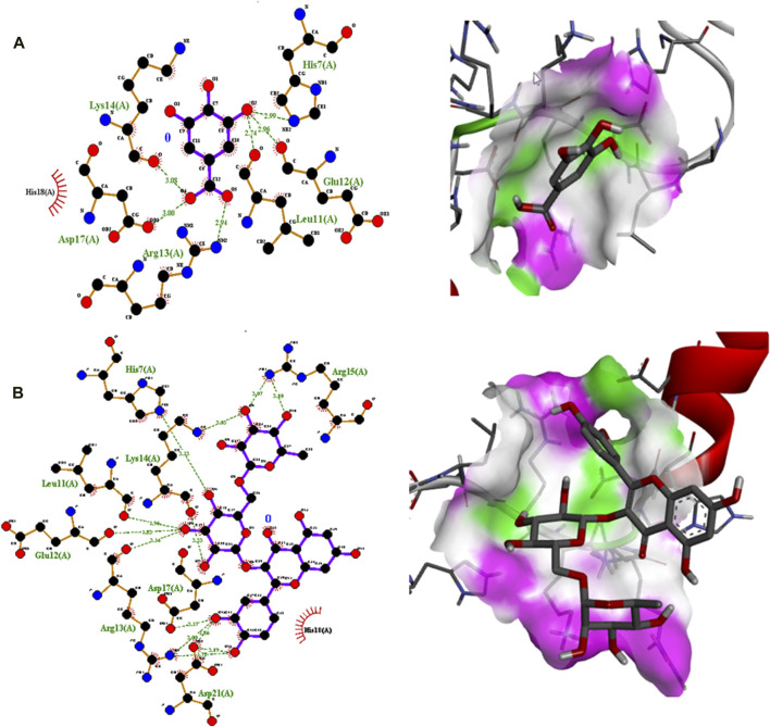 FIGURE 4
