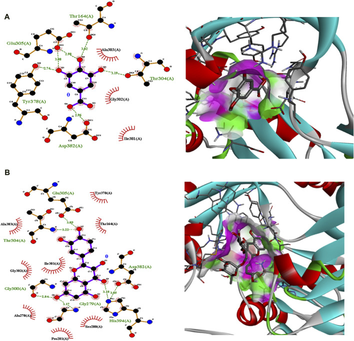 FIGURE 6