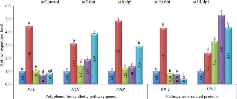 Figure 4
