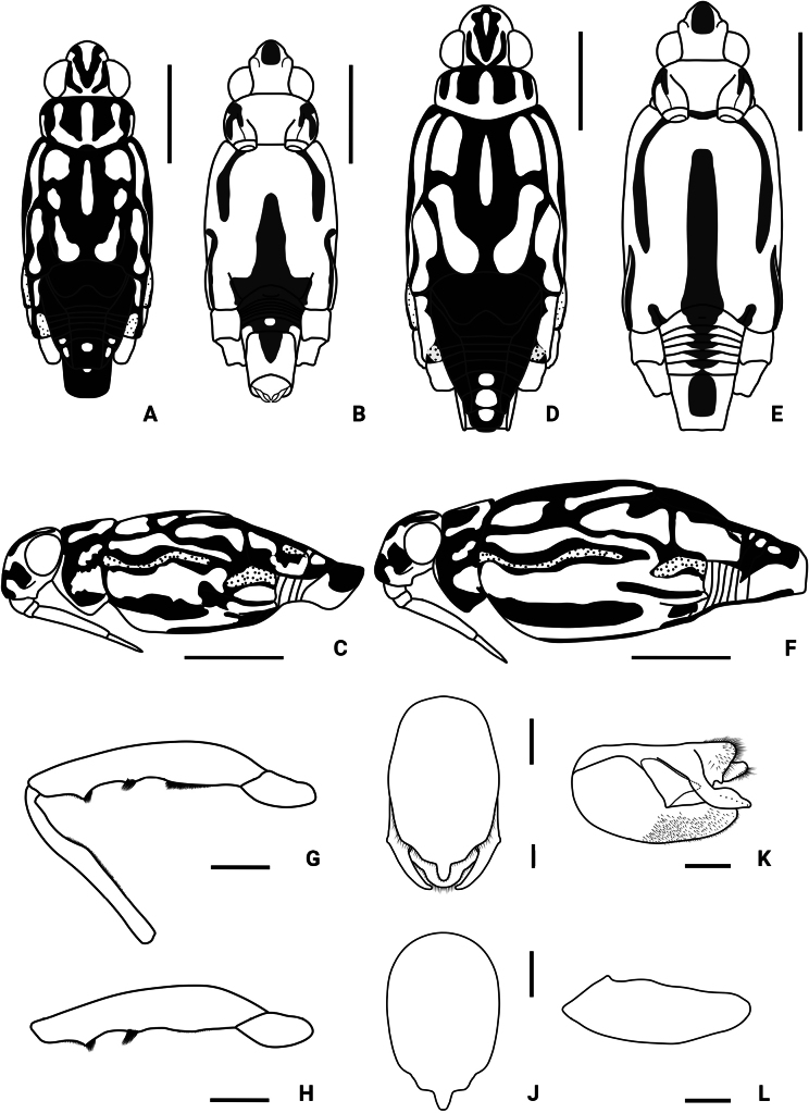 Figure 14