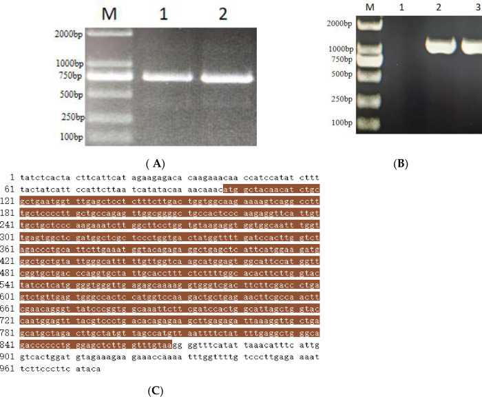 Fig 8