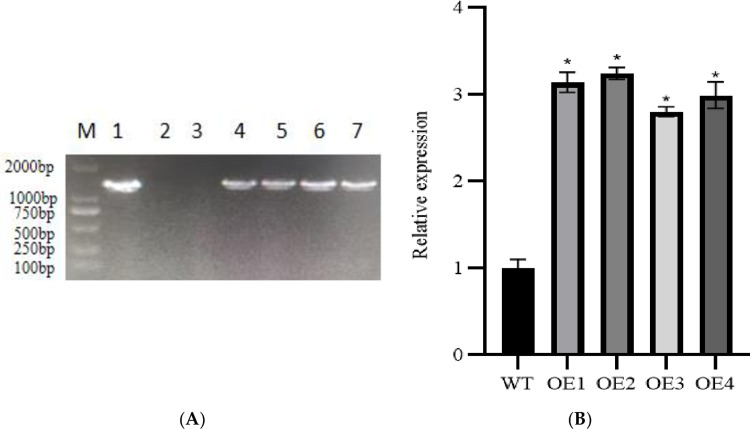 Fig 9