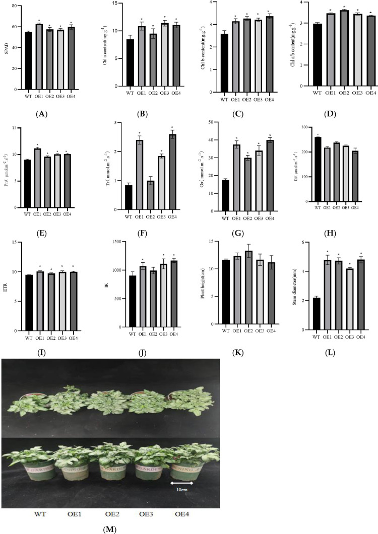 Fig 10