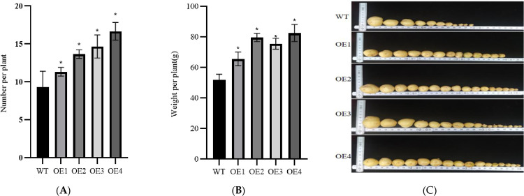 Fig 11