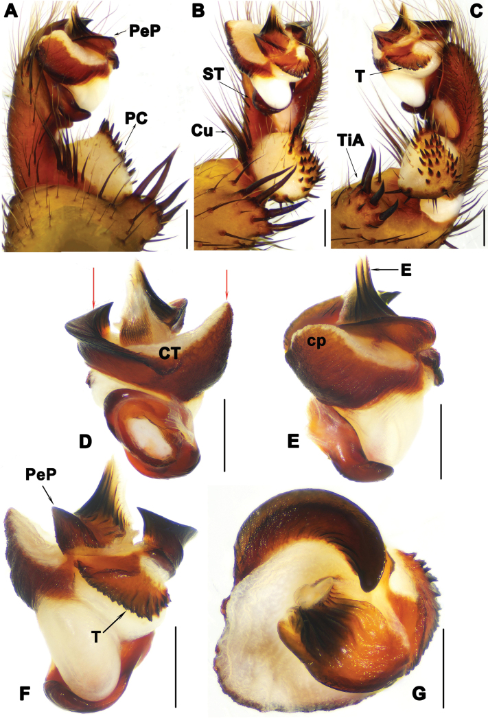 Figure 7