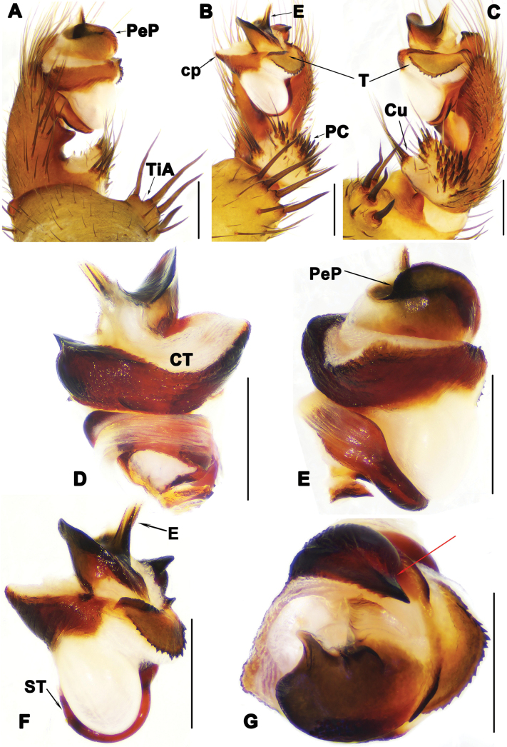 Figure 9