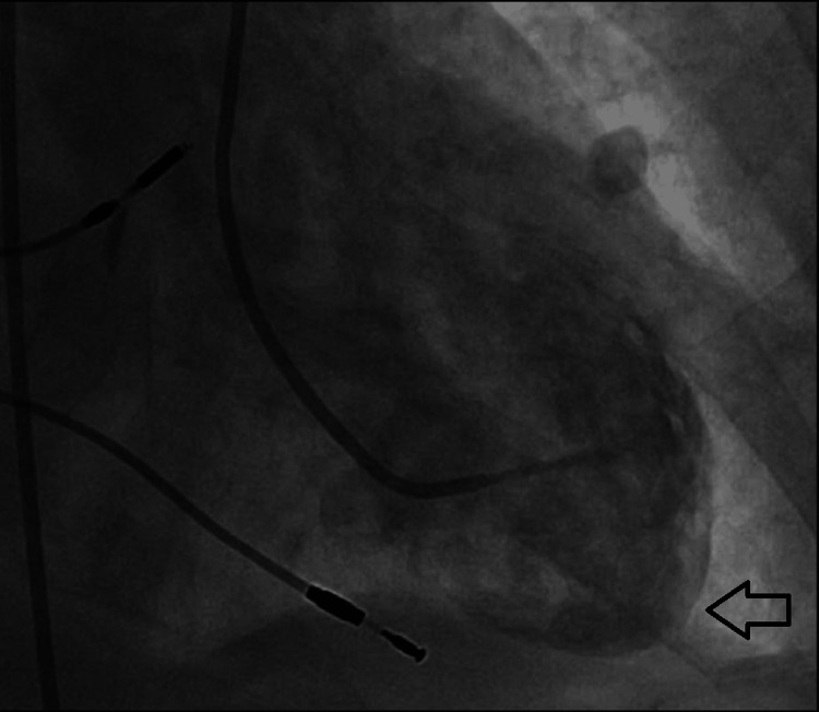 Figure 8