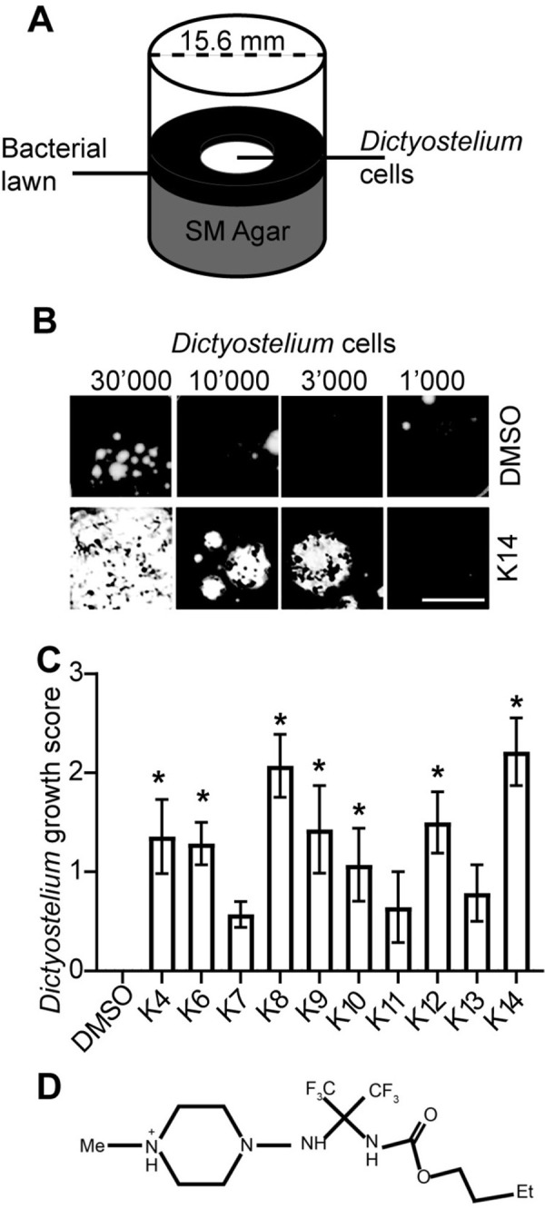 Fig 1