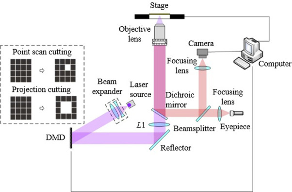 Fig 1