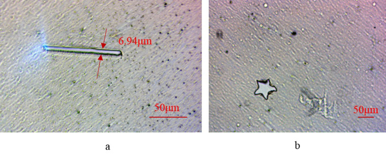Fig 10