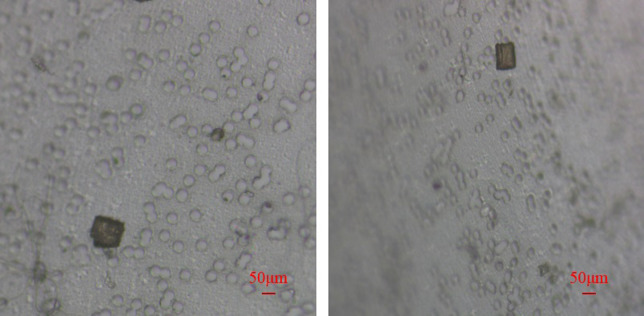 Fig 15