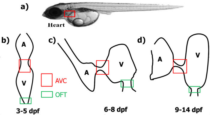Fig 2