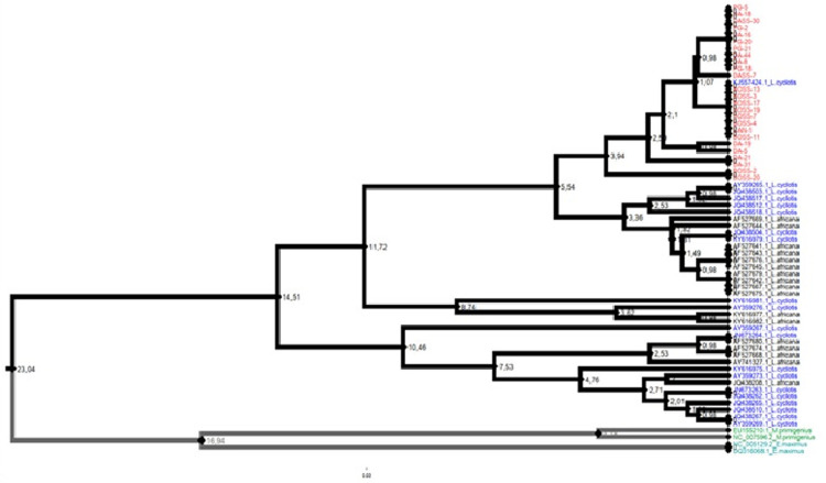 Fig 5