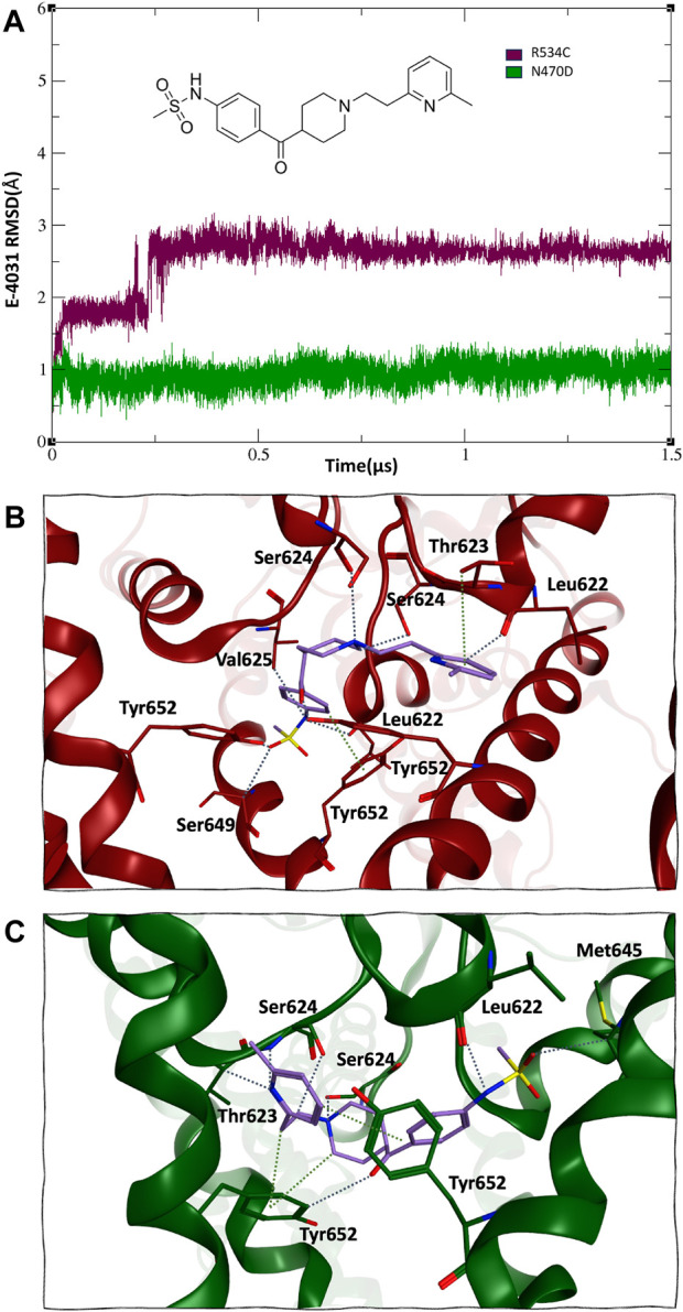 FIGURE 4