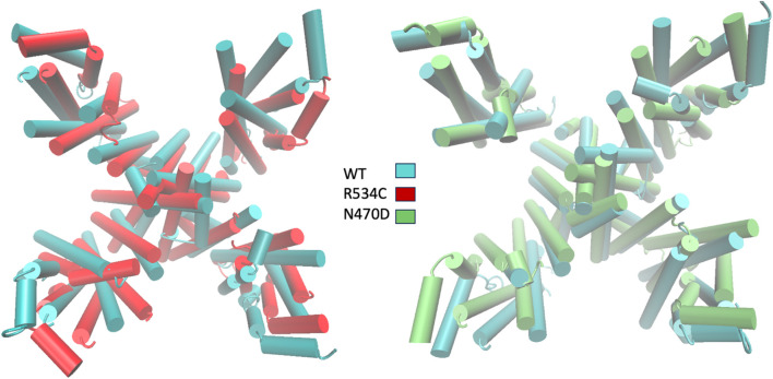FIGURE 6