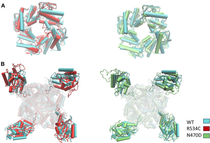 FIGURE 9