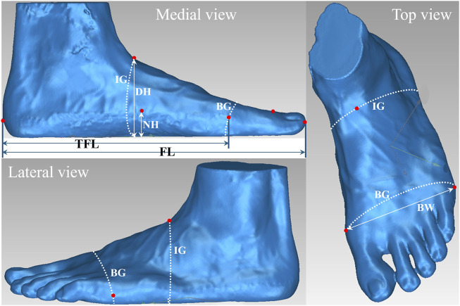 FIGURE 1