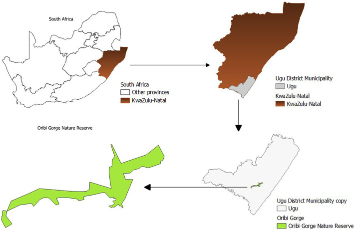 FIGURE 1
