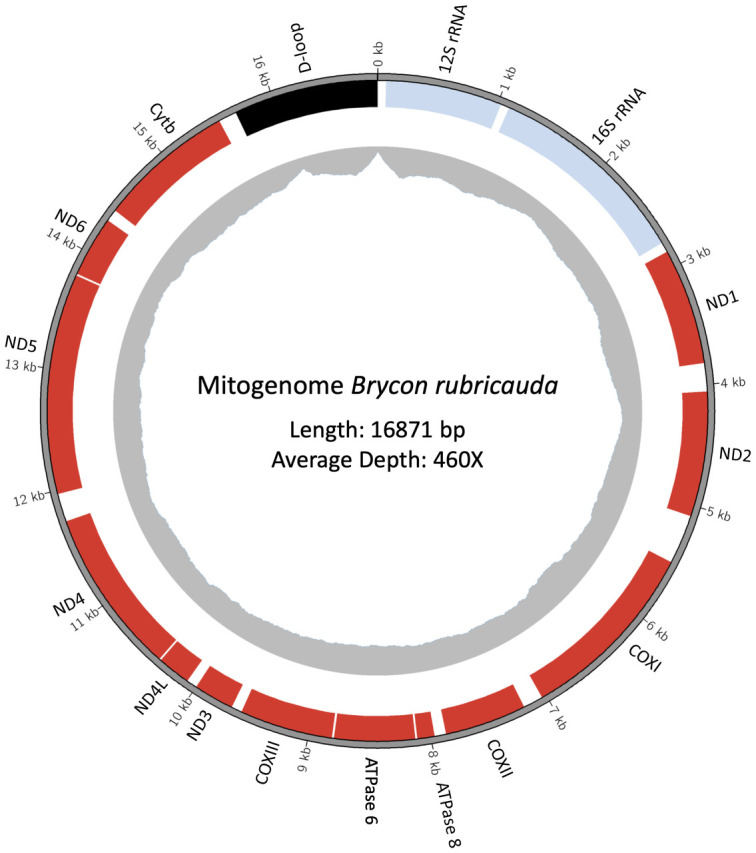 Fig 1