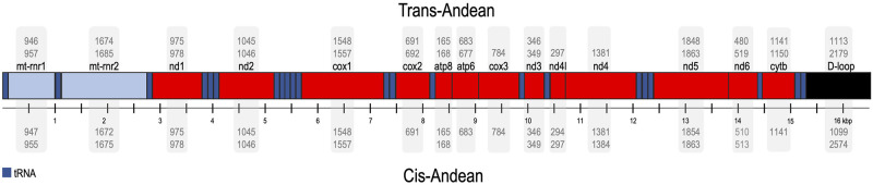 Fig 2