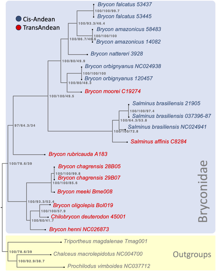 Fig 4