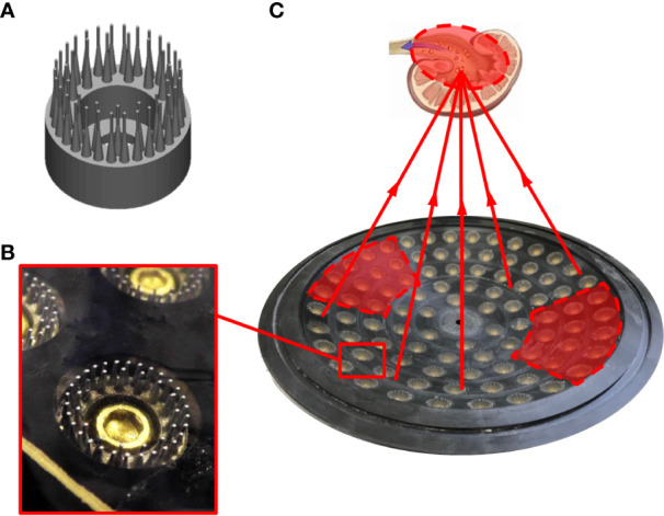 Figure 1