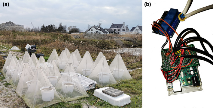 FIGURE 3