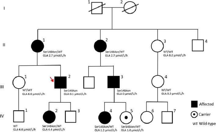 FIGURE 1