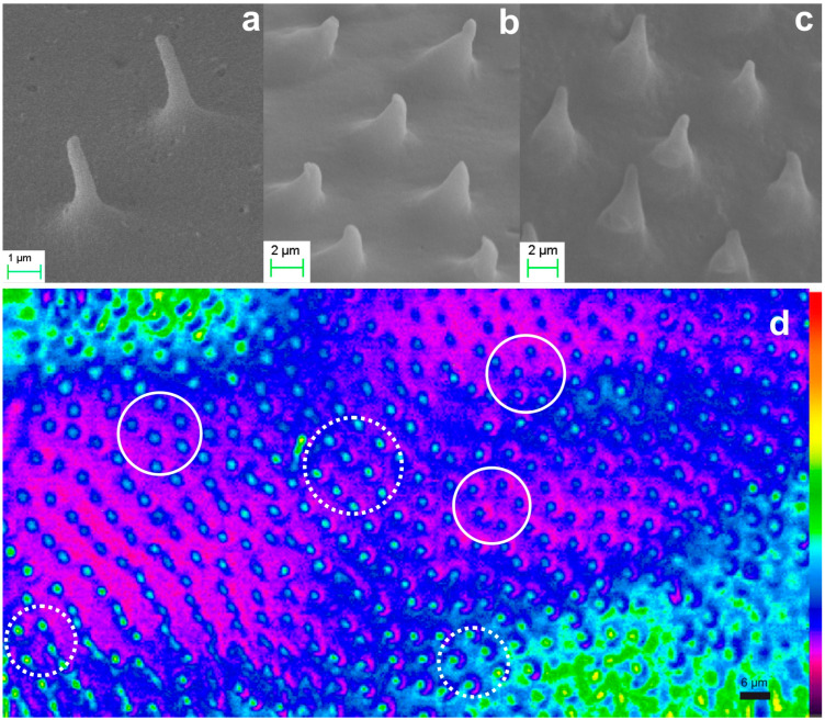 Figure 10