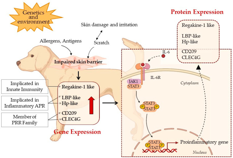 Figure 5