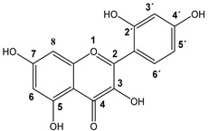Figure 13