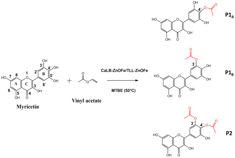 Figure 15