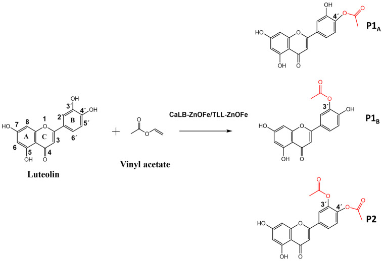 Figure 16
