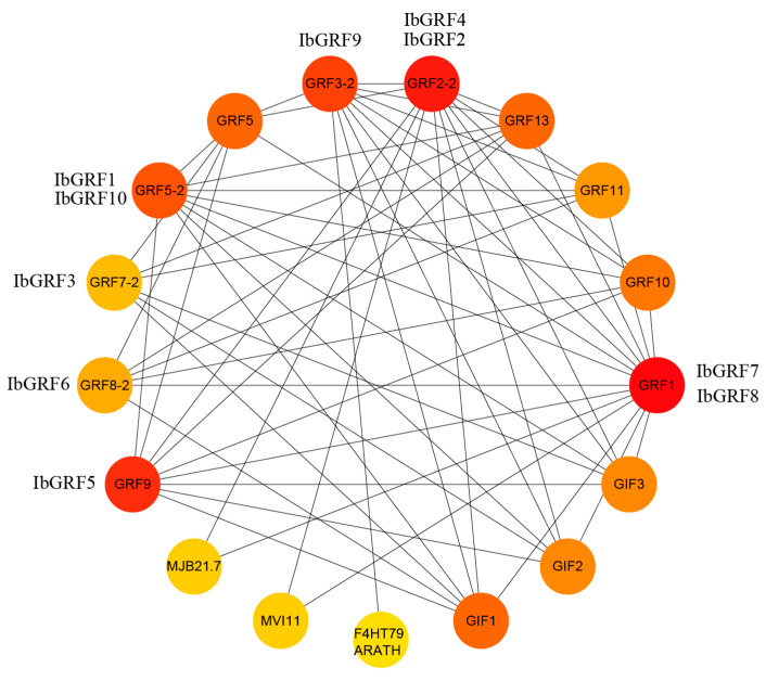 Figure 13