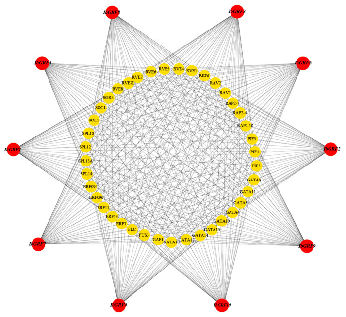 Figure 14