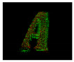 Figure 8
