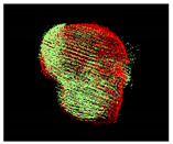 Figure 15