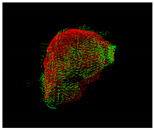 Figure 21