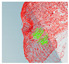 Figure 40