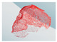 Figure 41